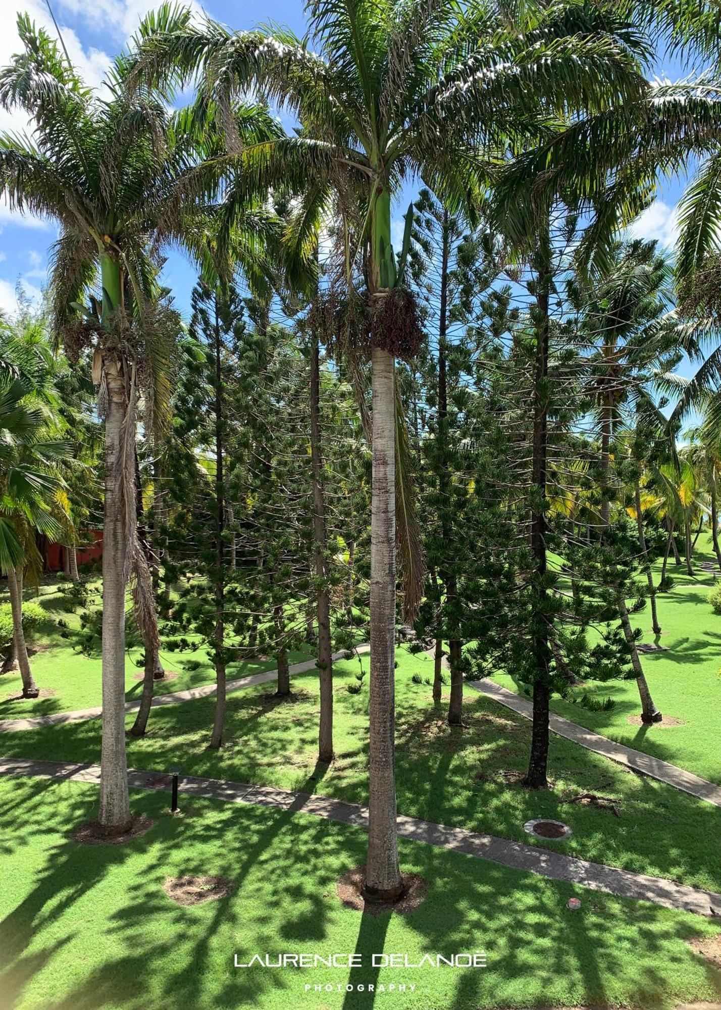 Appartement Varangue, Anse Des Rochers Saint-Francois  Exterior foto